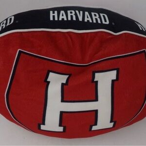 Harvard University Puff Pillow